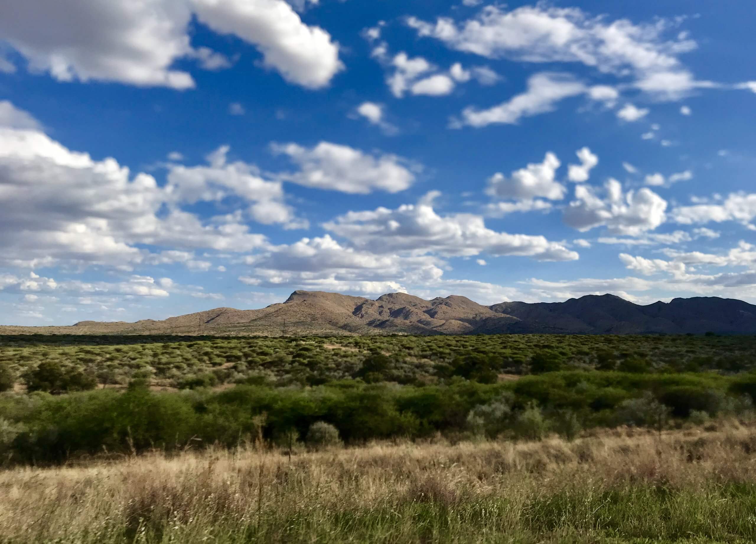 EPISODE 2 où je t'emmène au pays Himba, mais aussi découvrir les chutes d'Epupa, la piste qui longe le fleuve Kunene, puis les Big Five à Etosha. Pour finir sur une rencontre ultime: un face à face avec des rhinocéros. La Namibie nous aura tout offert.