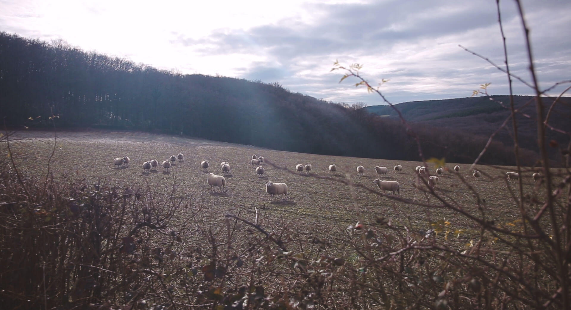 Voyage à moto : Le Morvan ► Les Motards du Dimanche