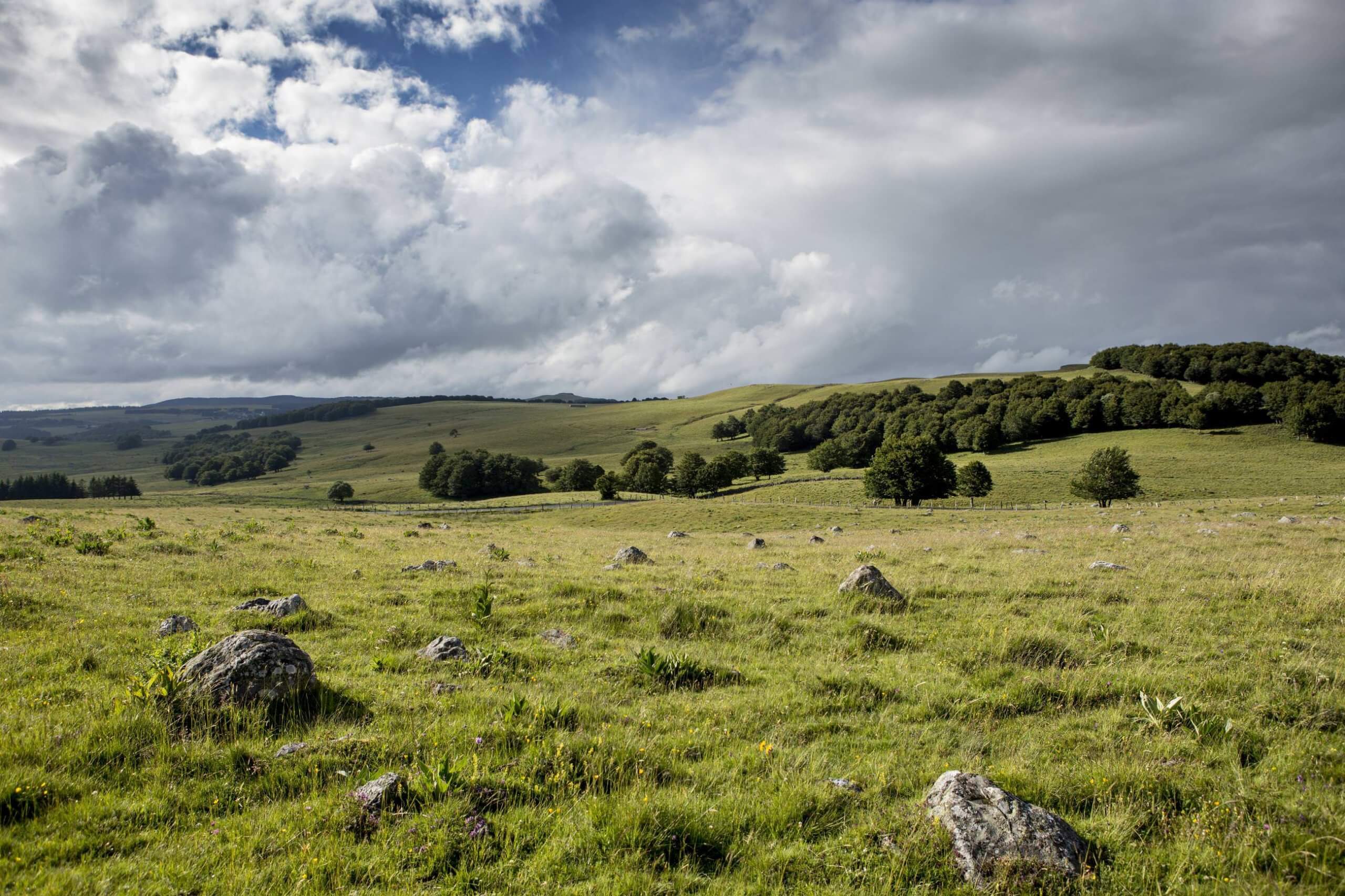 plateau-de-l-aubrac-lolo-kap2cap