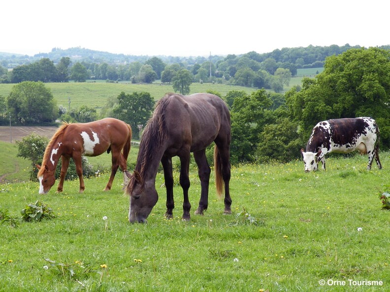 Voyage à moto : L’Orne ► des Haras à la Suisse Normande